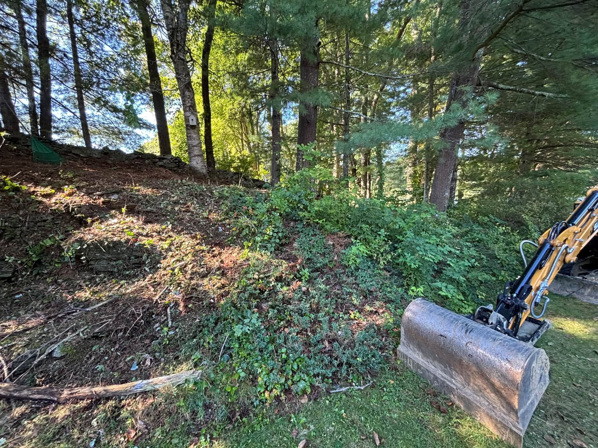 Before — overgrown property edge, Spencer MA